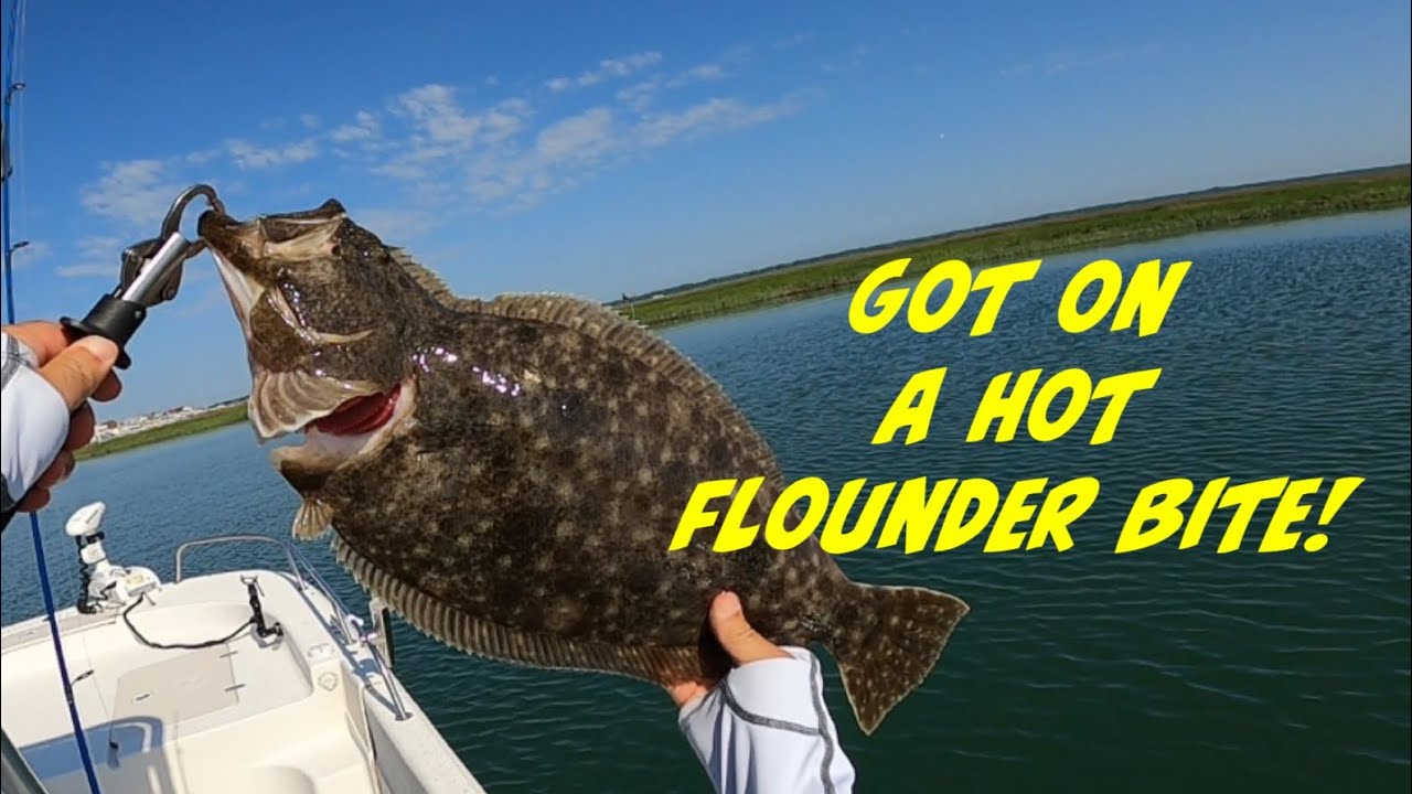 INSANE Flounder Bite in New Jersey! (Non-Stop Action) #subscribe #fish #outdoors #flounder