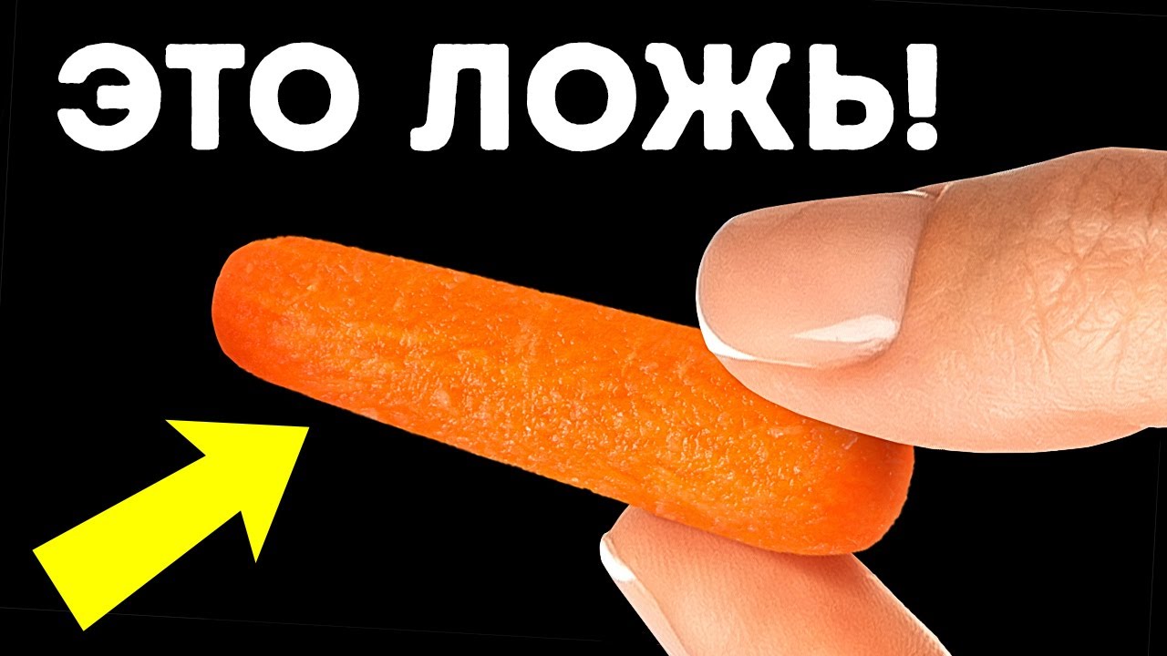 101 случайный факт для поддержания любого разговора