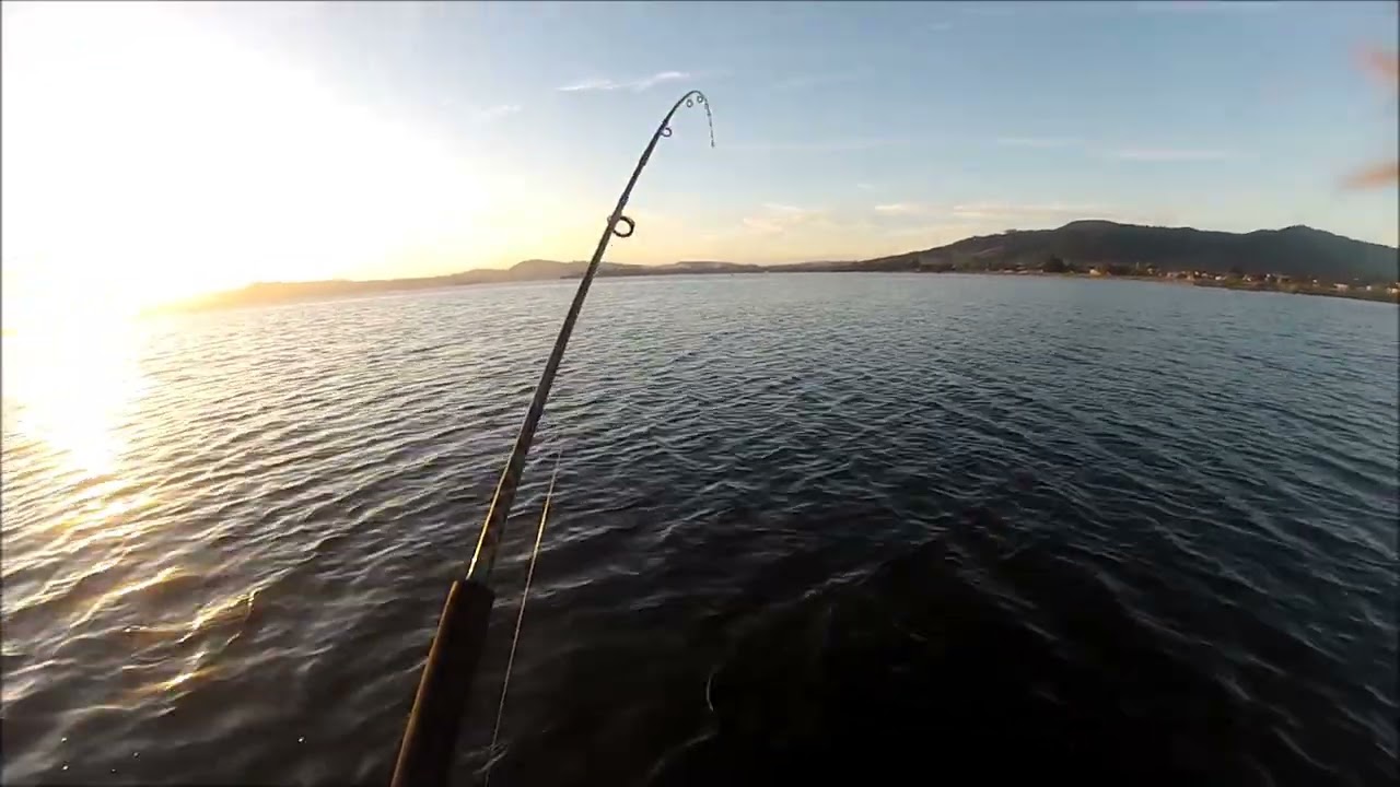 NEW ZEALAND TROUT FISHING WOW