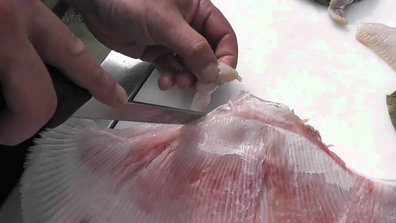Passionate About Fish - How to Skin & Fillet Ray / Skate Wings