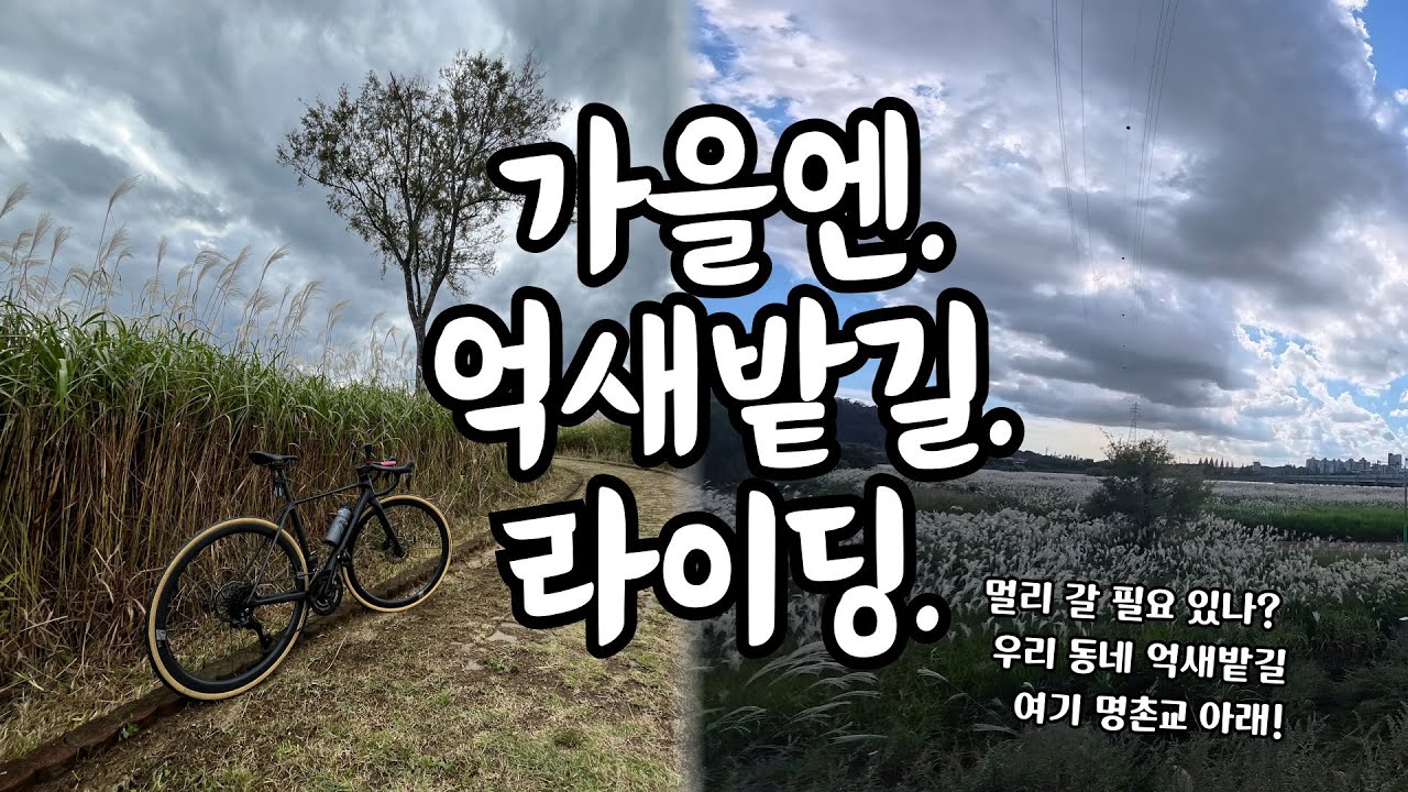 억새밭길.라이딩_멀리 갈 필요 있나? 여기 있는데(ep.14)