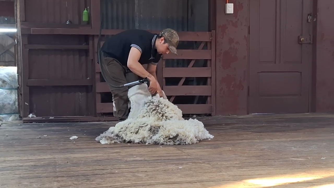 HJH Pategonie 05 2026