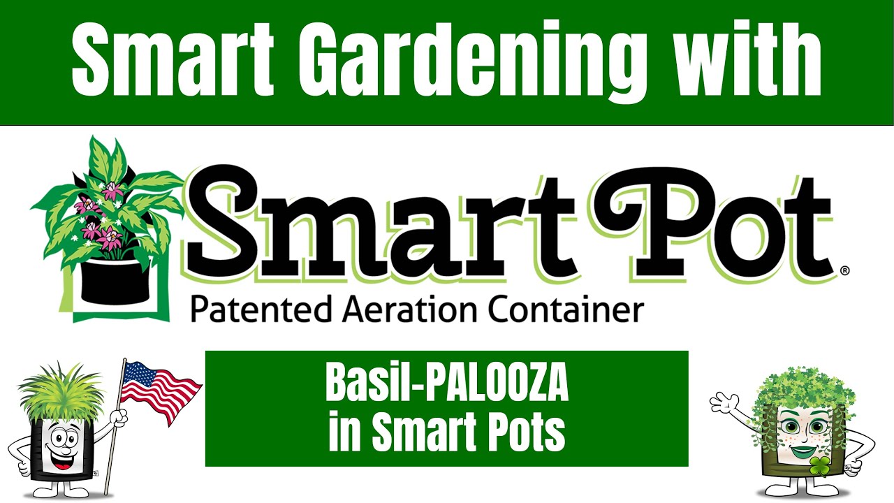 Basil Palooza in Smart Pot&reg; Fabric Planters - Ep 2.