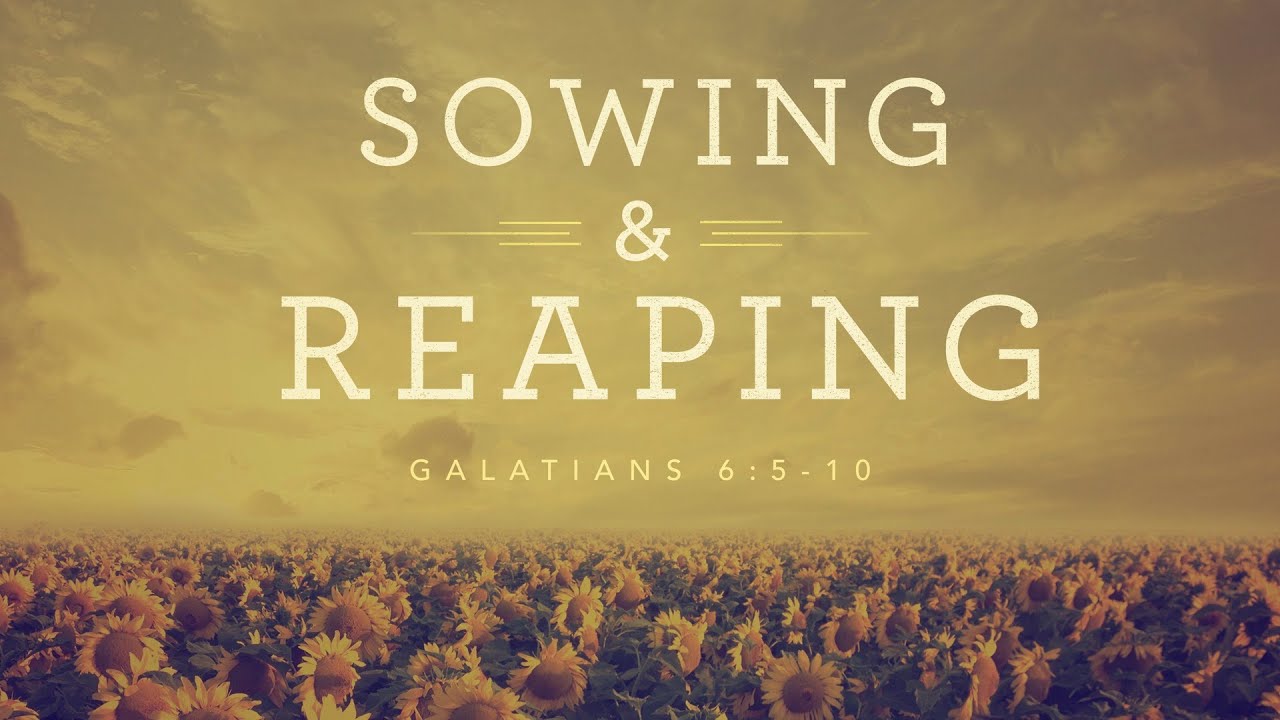 Sowing & Reaping (Galatians 6:5-10)