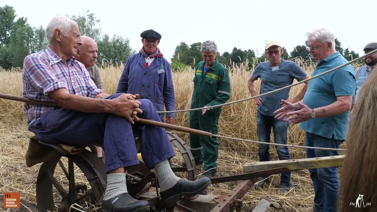 Zicht paard en machine maaien