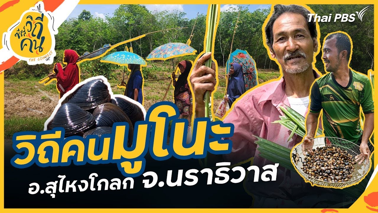 วิถีคนมูโนะ อ.สุไหงโกลก จ.นราธิวาส | ซีรีส์วิถีคน