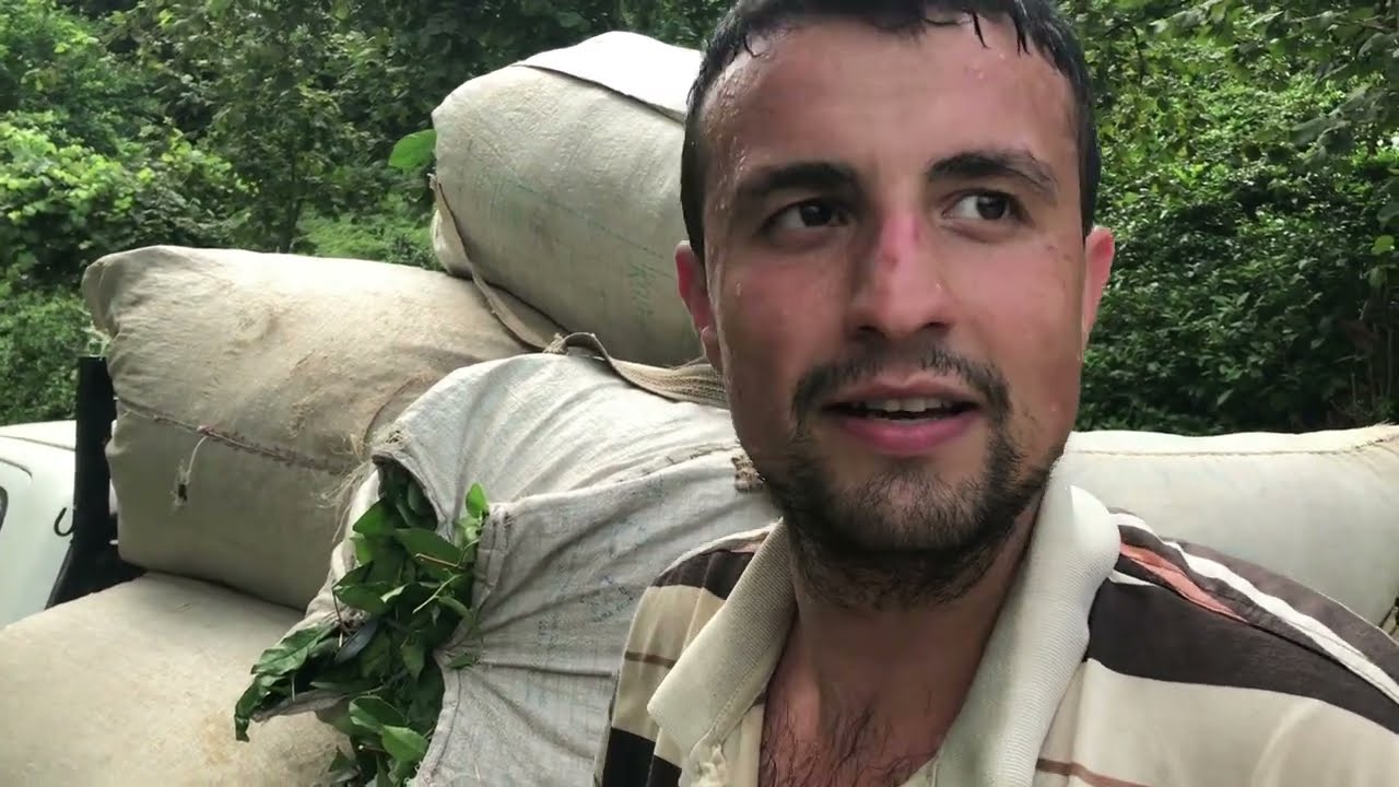 Çayın Demi