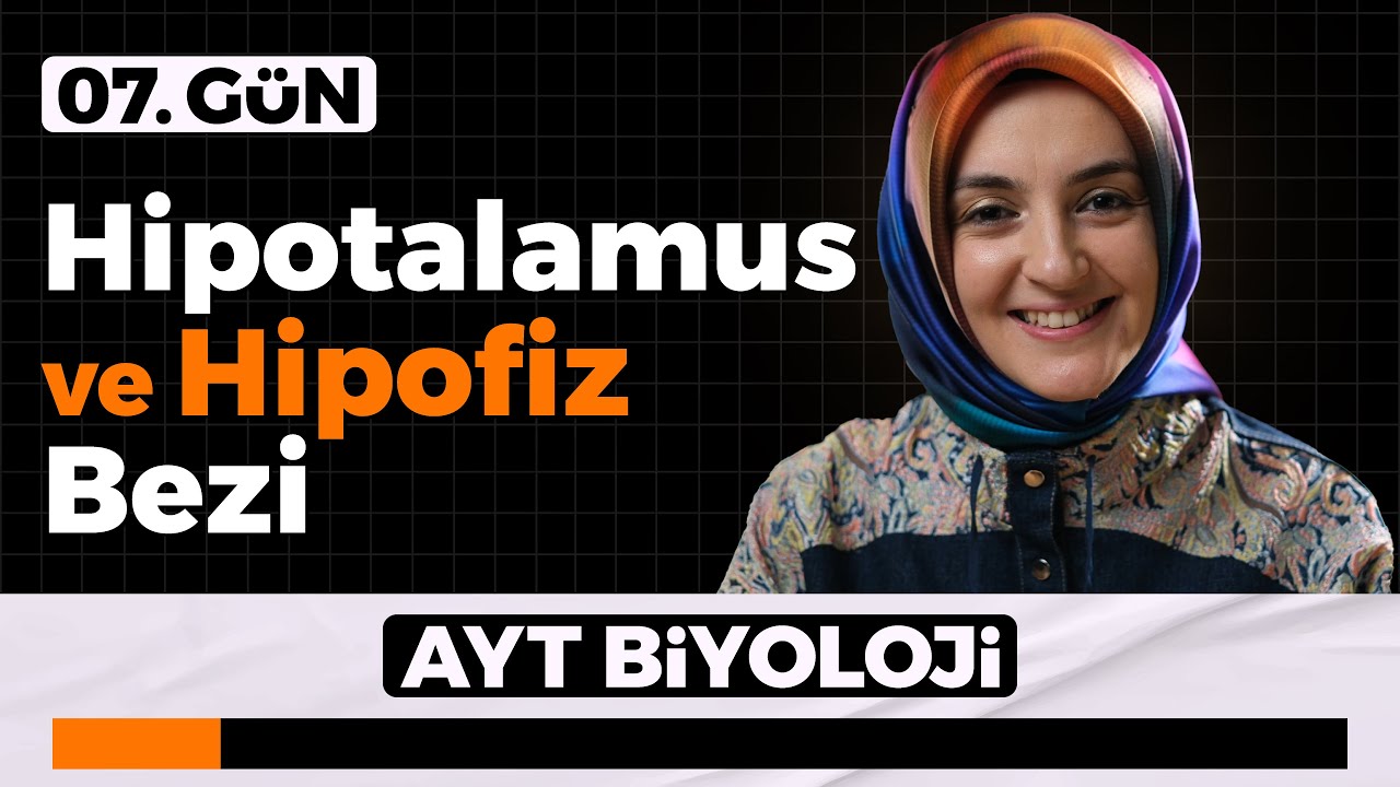 7) Hipotalamus ve Hipofiz Bezi | 11. Sınıf Biyoloji | 2026 AYT Biyoloji Kampı 7. Gün