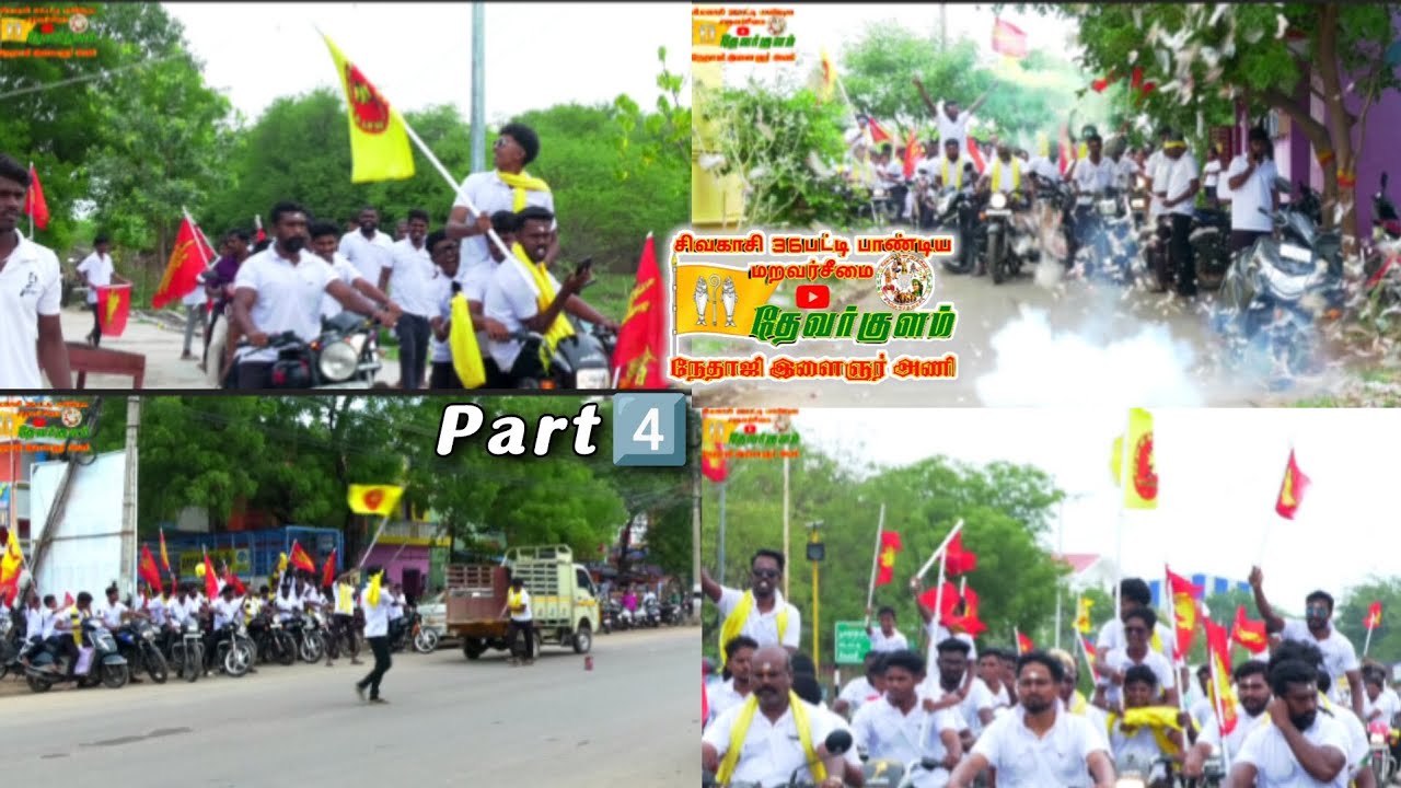 Thenpandi Singamada👑சிவகாசி18பட்டி தேவர்குளம் #thevarkulam 🚩Maravar Padai💥#sivakasi #thiruvizha #tvk