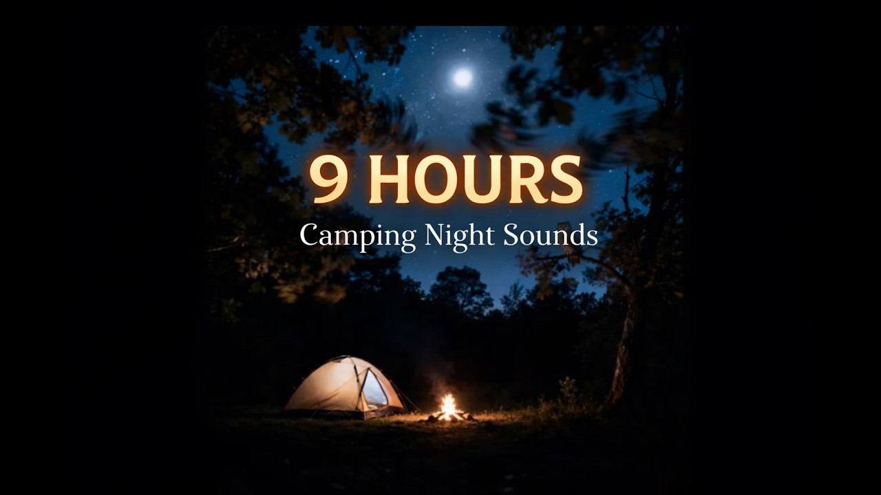 9 Hours Camping Night Sounds for Sleep | Calming Forest with Owls