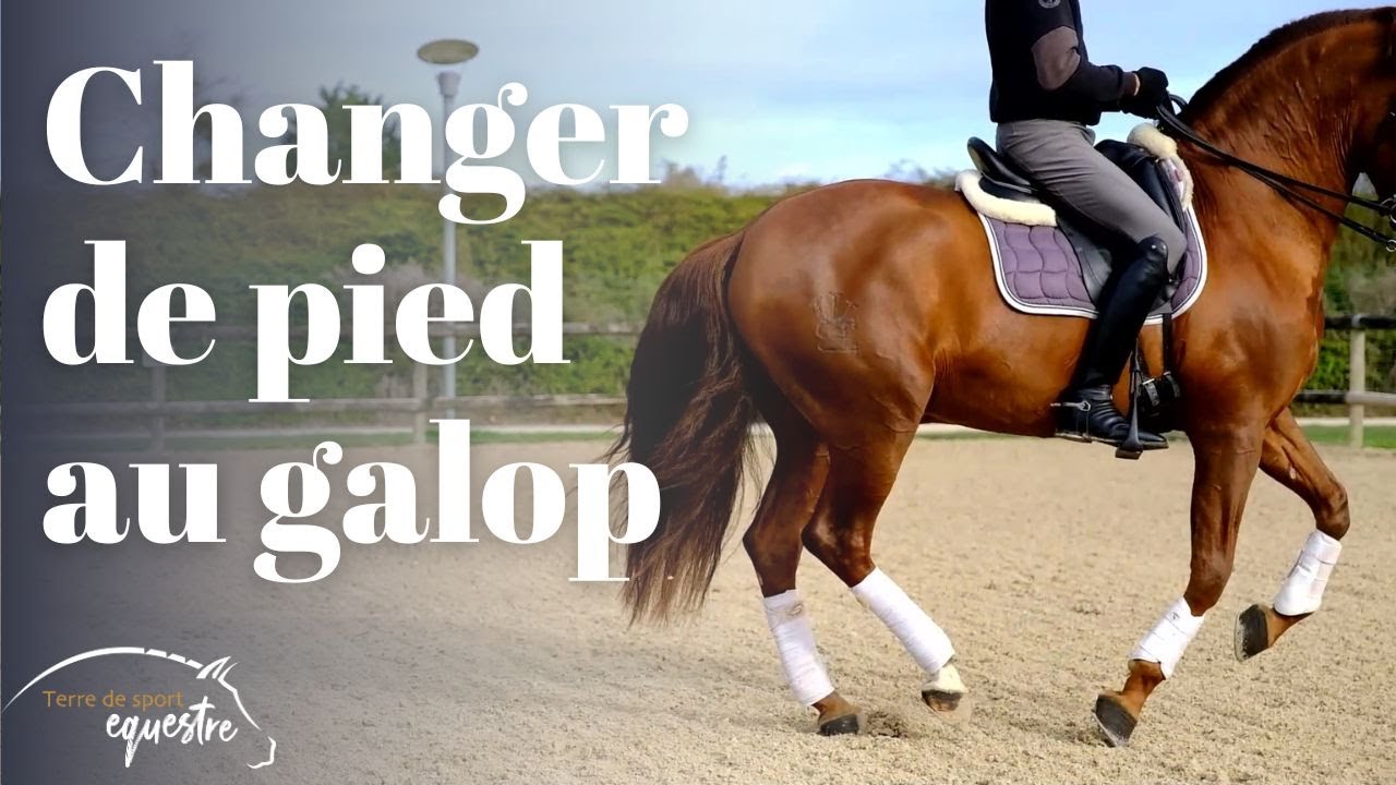 Comment réussir ses changements de pied au galop