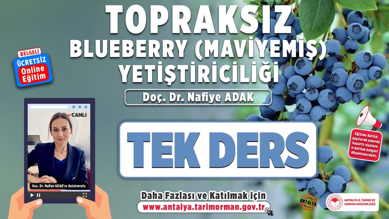 Topraksız Blueberry Yetiştiriciliği Topraksız Blueberry (Maviyemiş) Yetiştiriciliği Eğitimi