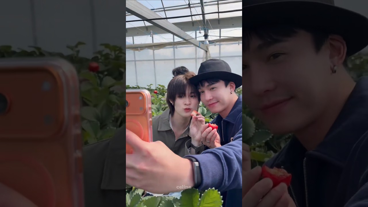 P'Max has been successfully won over by Nat; their strawberry stories #maxnat #mmaxmax #natasitt