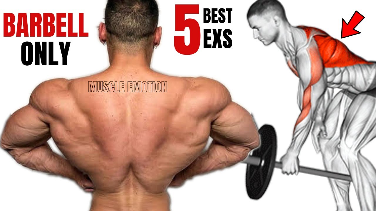 5 BEST BACK EXERCISES WITH BARBELL  ONLY AT GYM