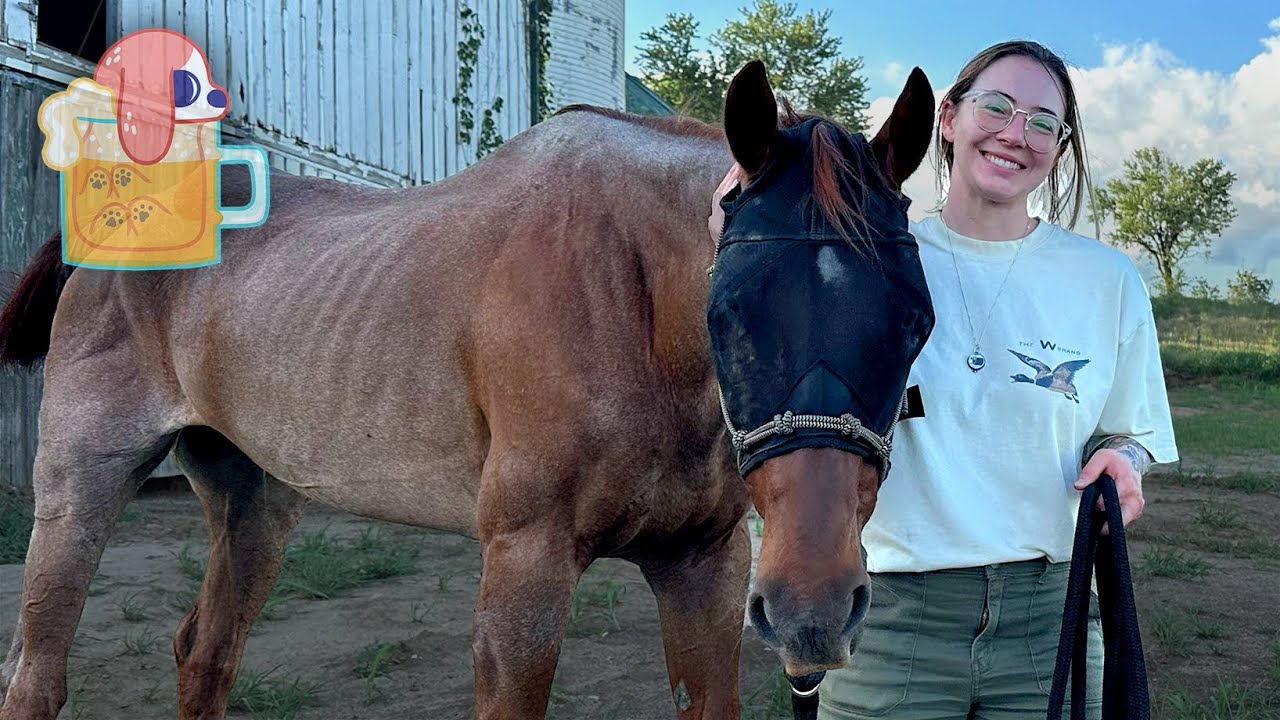 I Saved A Horse...