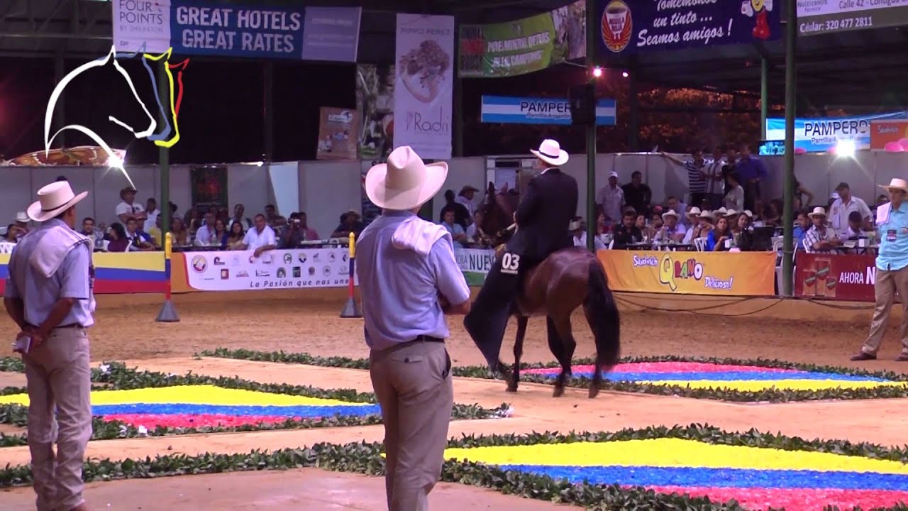 Trocha - Tripleta de Santa isabel, Copa America 2012