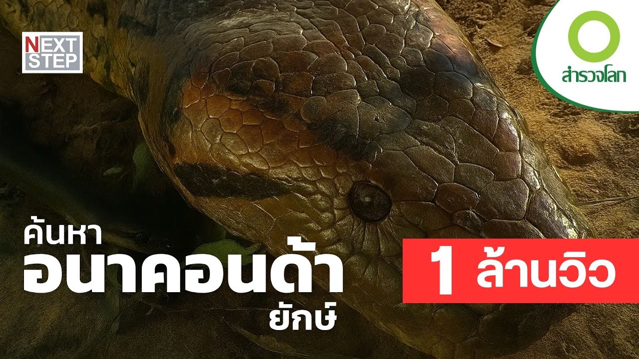 ค้นหาอนาคอนด้ายักษ์ - เสียงเรี ตอน