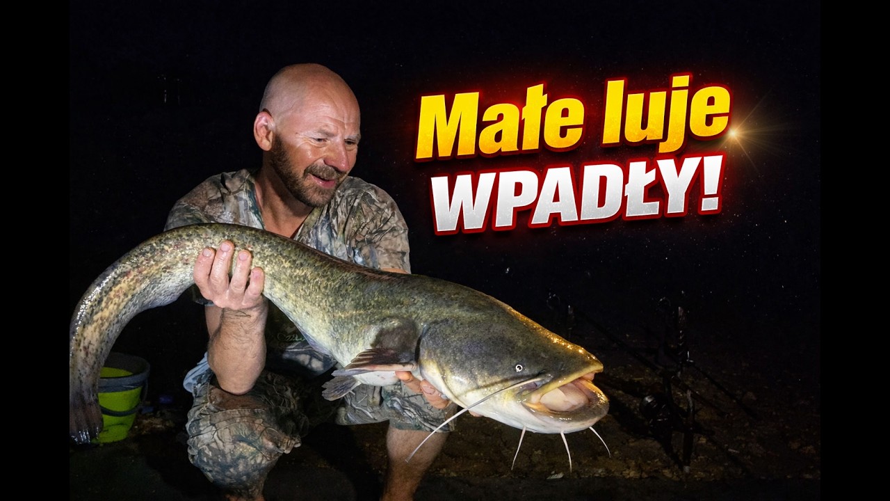Nocna akcja!!! Trzy sumiki w jedną zasiadkę