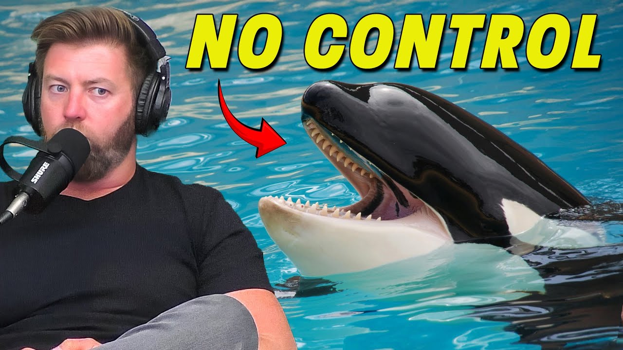 Forrest Galante on Why Diving With Orcas Is So Scary