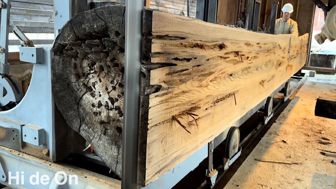 Sawing a Big “Japanese SUGI” Cedar wood log eaten by insects, What's going on inside?