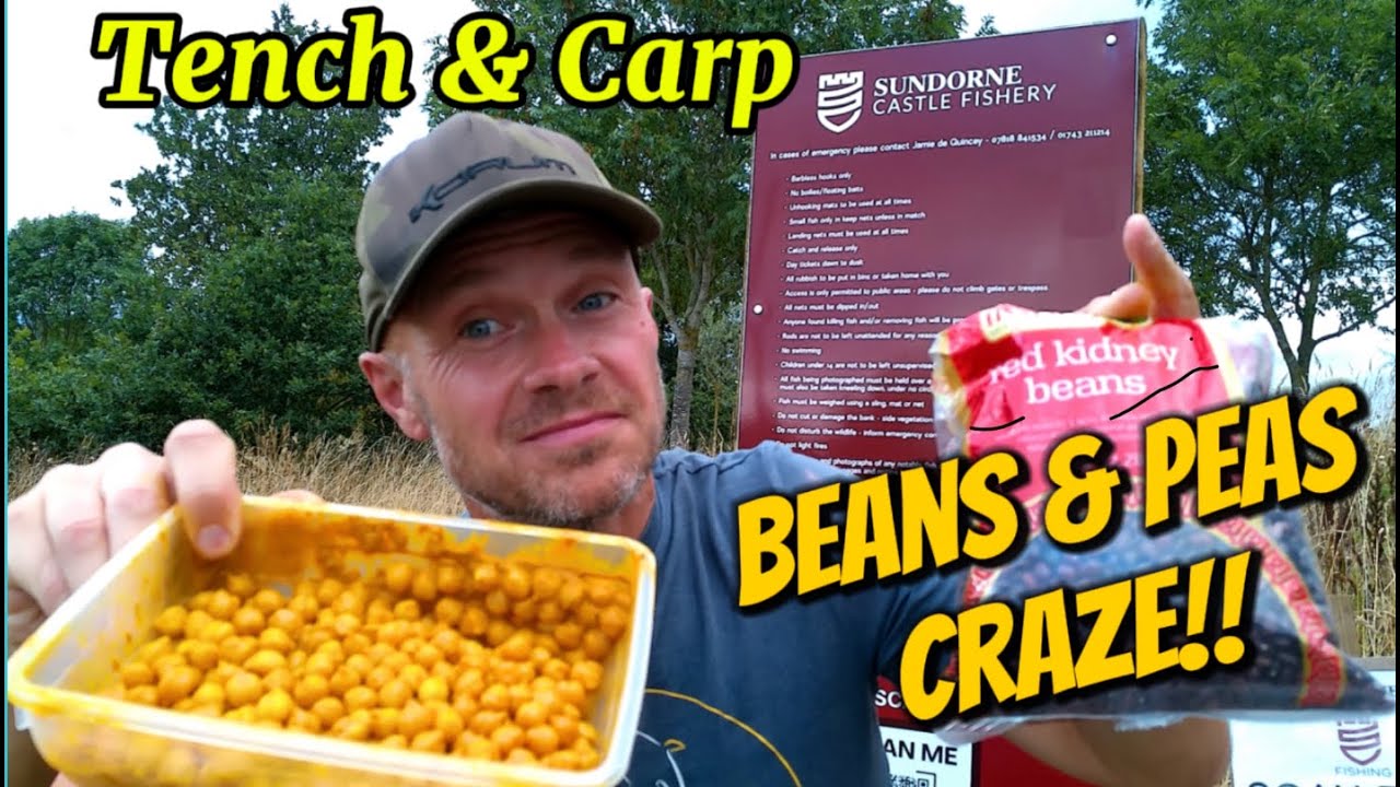 Carp & Tench on Chickpeas & Kidney Beans! 