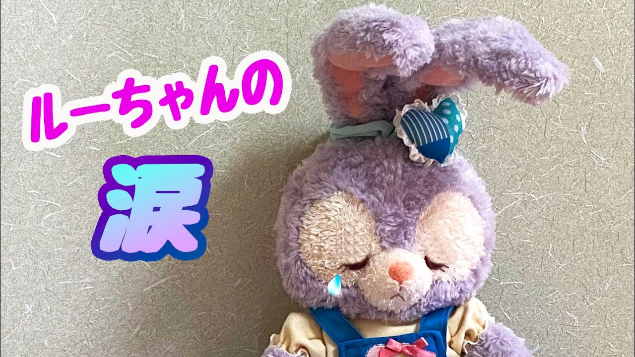 ルーちゃんの涙