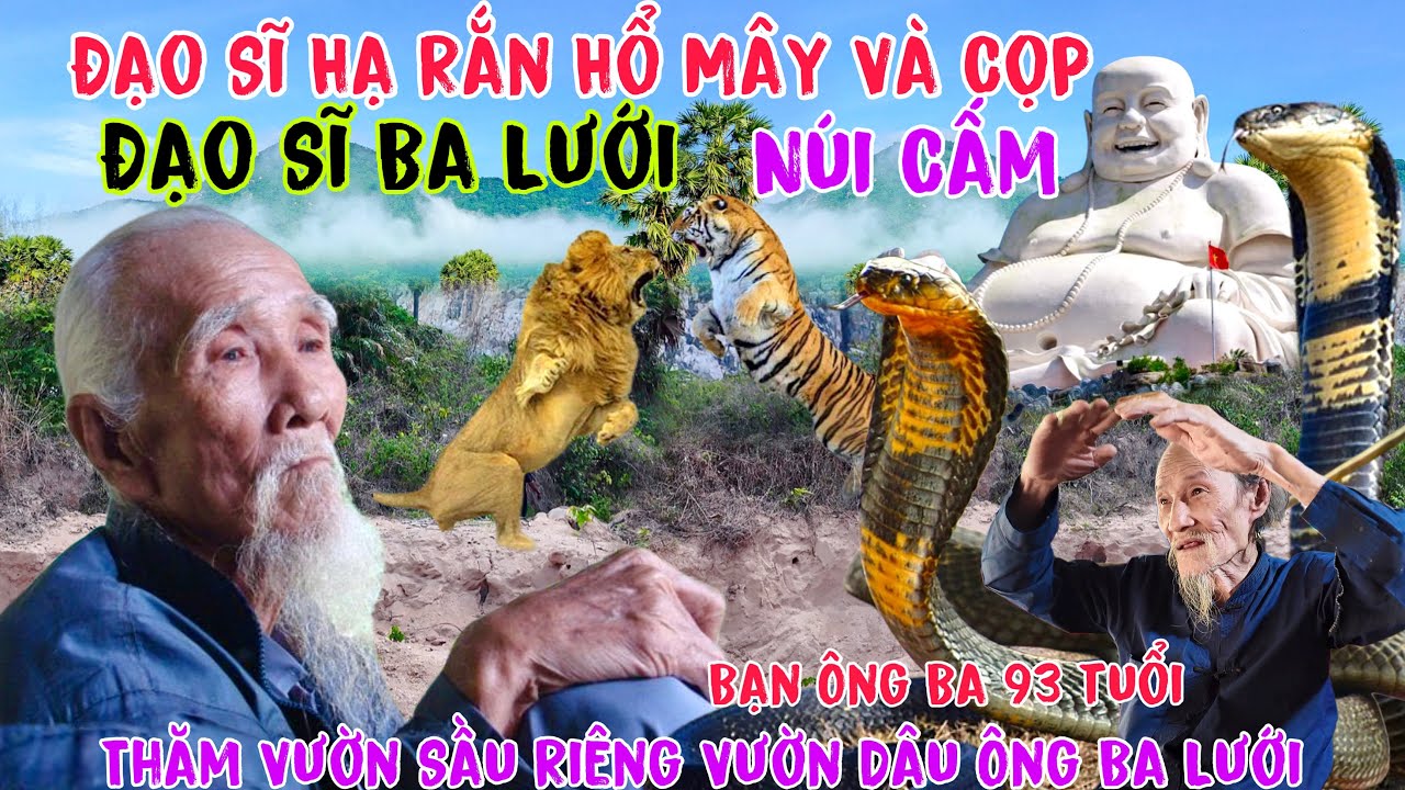 Núi Cấm Sau Nhiều trận Mưa Lớn khám phá nhà đạo sĩ Hạ Rắn Hổ Mây Khổng lồ cùng vườn Sầu Riêng dâu