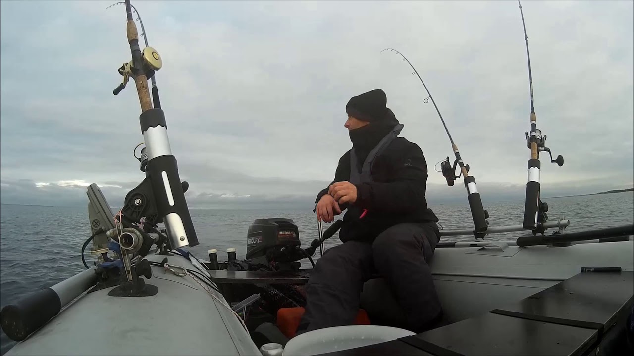Troć na trolling Zatoka Gdańska | Seatrout trolling fishing