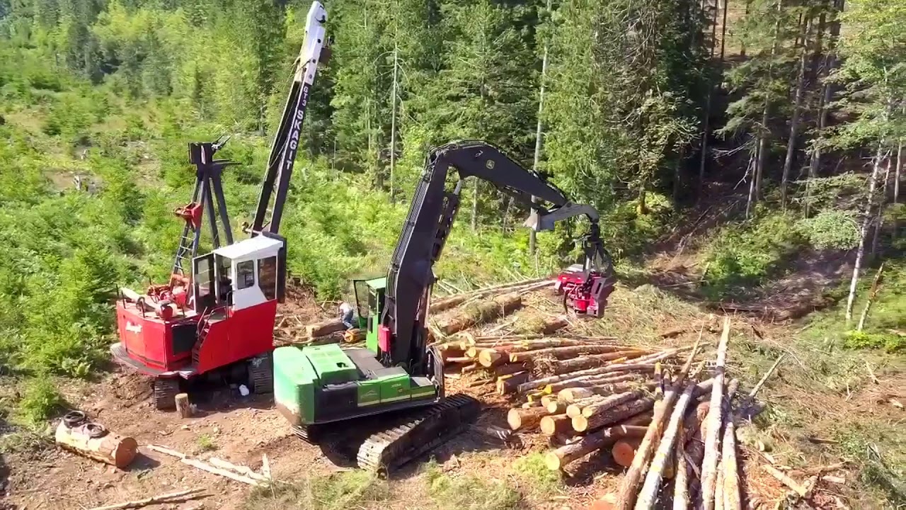 Oakes logging lake Sutherland