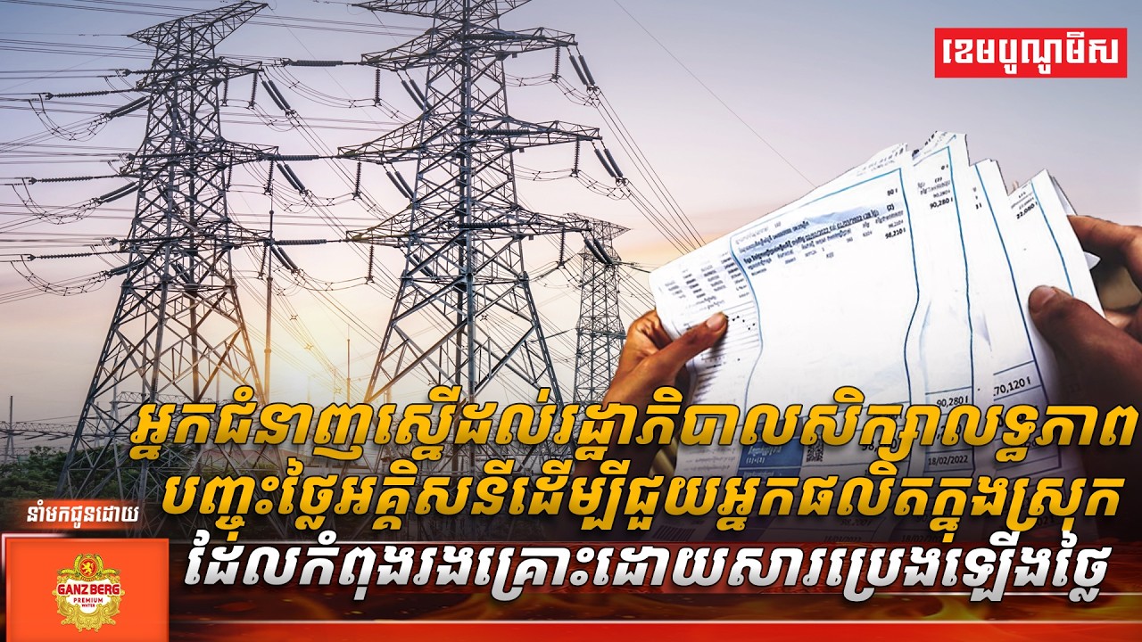 អ្នកជំនាញស្នើដល់រដ្ឋាភិបាលសិក្សាលទ្ធភាពបញ្ចុះថ្លៃអគ្គិសនី ដើម្បីជួយអ្នកផលិតក្នុងស្រុក