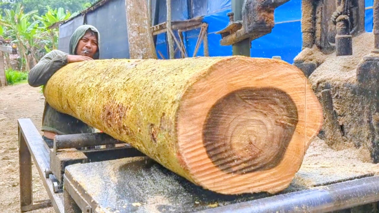 SEMAKIN LANGKA !! kayu weru digergaji mesin bandsaw rakitan 