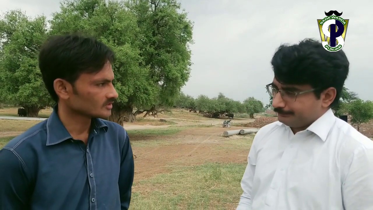 Cattle farming (small business plan)