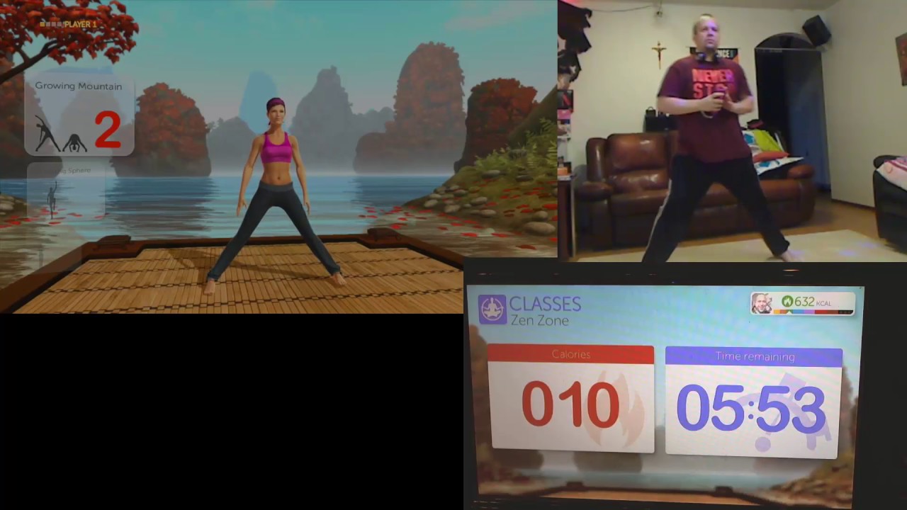 Two Yourshape fitness Evolved 2013 Wii U  problems