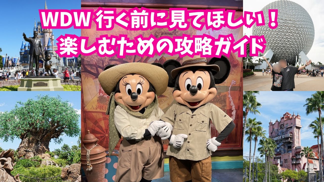 【WDW攻略ガイド】ディズニーワールド🎢🤍行く前に知らないと後悔することまとめ✨