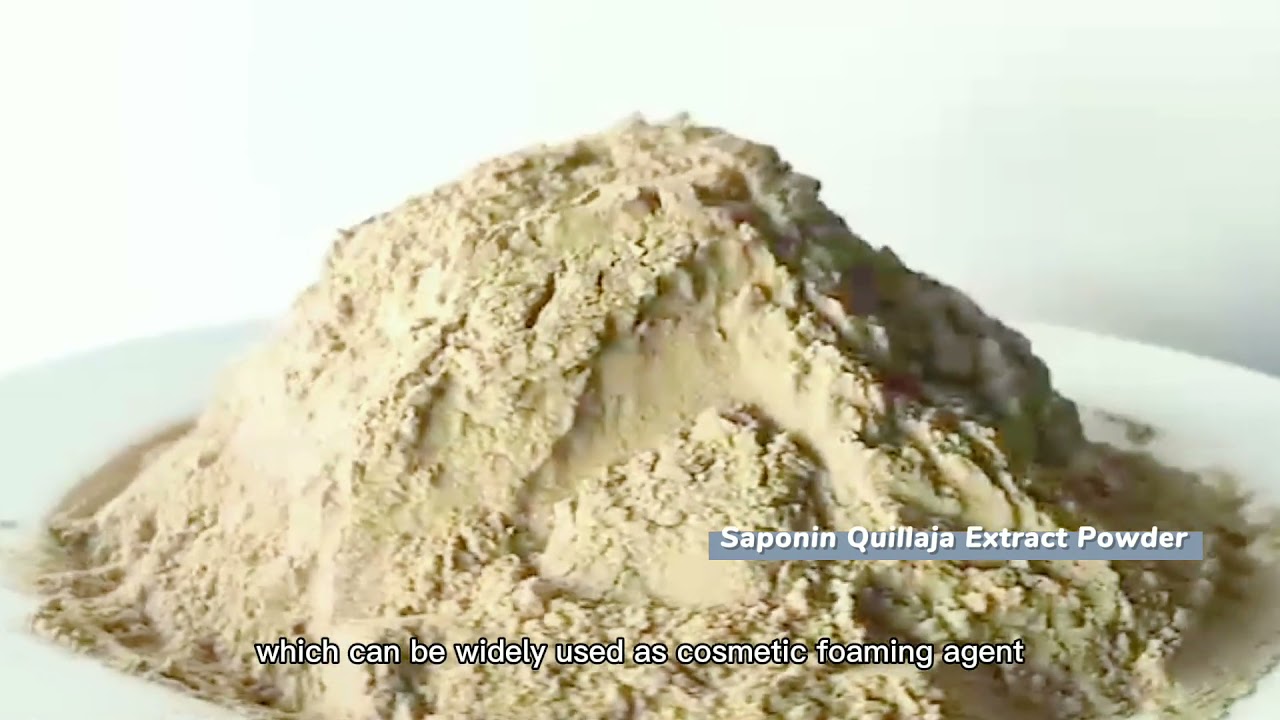 Quillaja Saponin