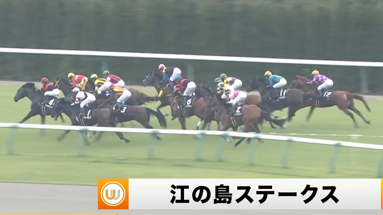 【2023】江の島ステークス 東京競馬場11R ｜ウイニング競馬 2023年6月24日（土）