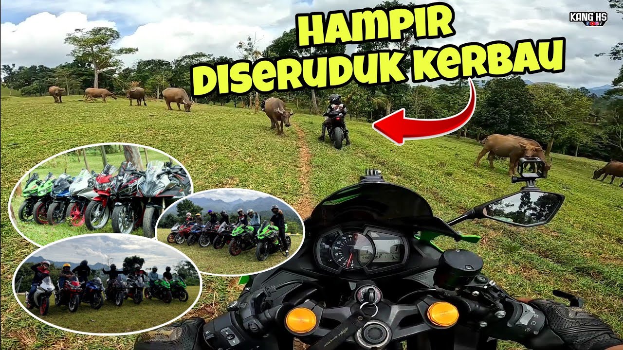 NGERI‼️ BAWA ZX25R MENYUSURI BUKIT WARUWANGI‼️