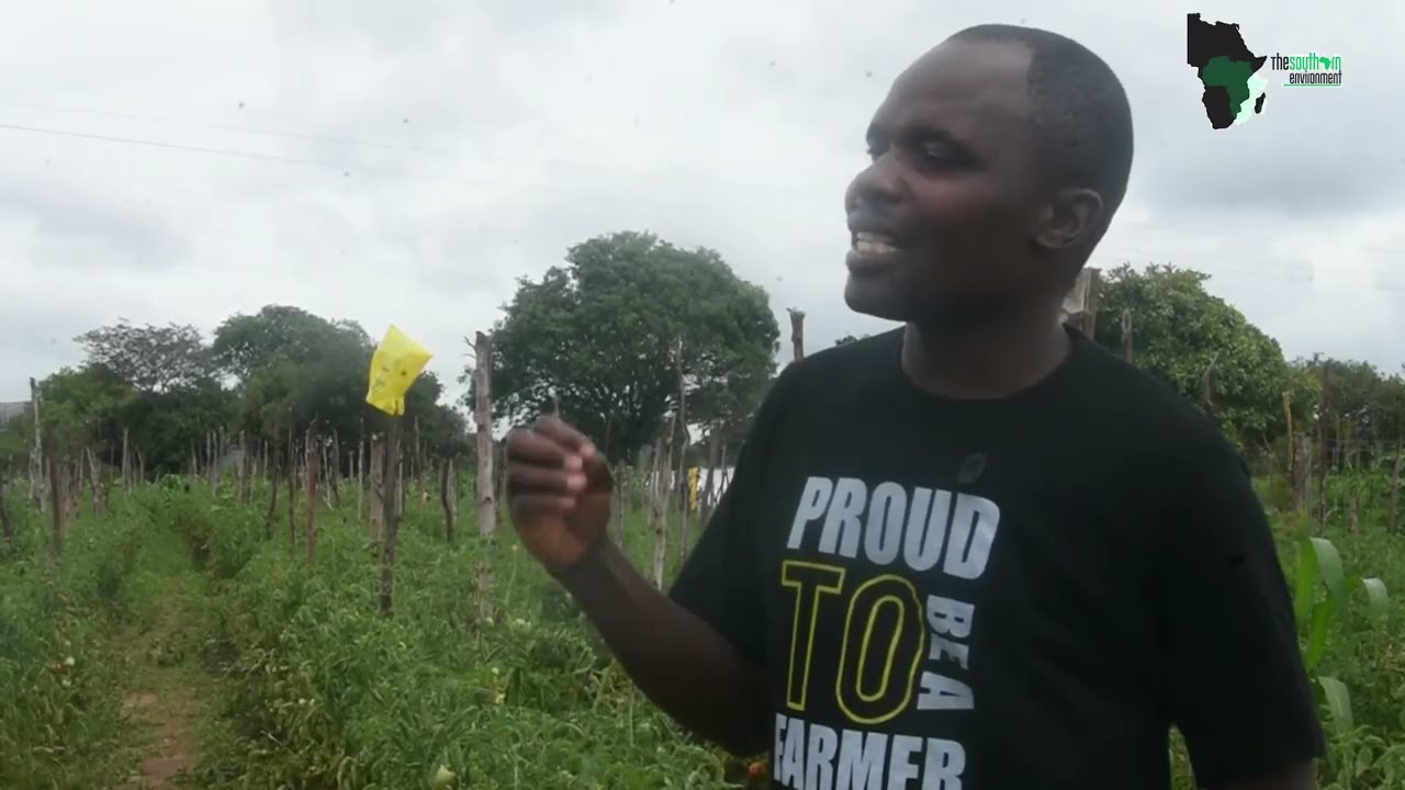 Beyond the Farm: Luverty Chishamba on Tomato Farming, Child Rights, and Economic Survival