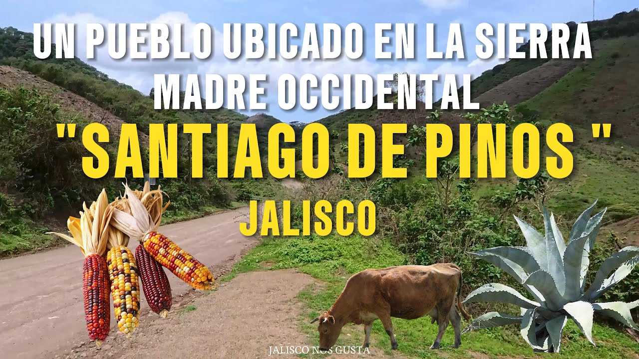 SANTIAGO  DE PINOS JALISCO, UN PUEBLO UBICADOEN LAS FALDAS DE LA SIERRA MADRE OCIDENTAL