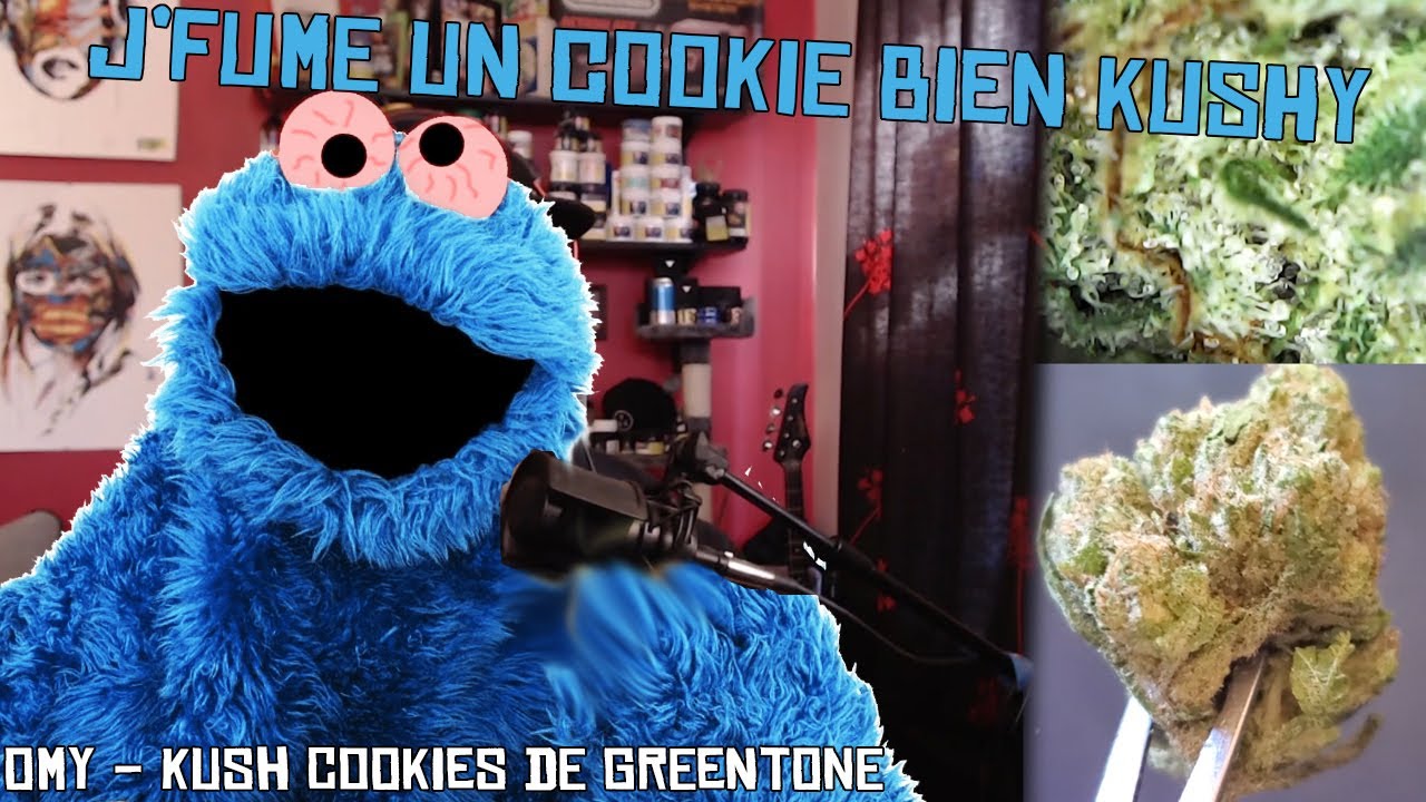 OMY Kush Cookies de GREENTONE ! Un nouveau producteur de cannabis &agrave; B&eacute;cancour dispo &agrave; la SQDC !