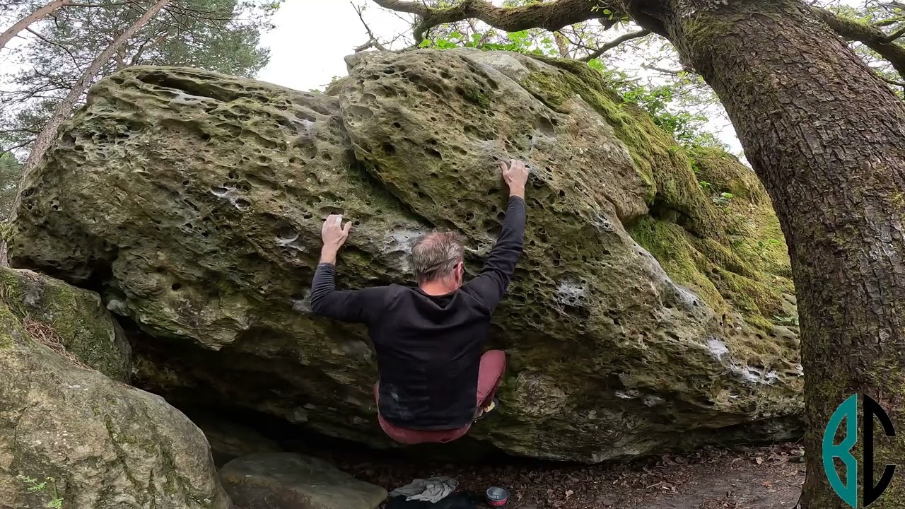 Pandam droite (7A)