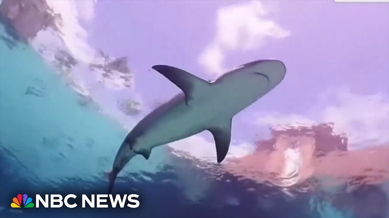 Video captures aftermath of 10-year-old boy bitten by shark in Bahamas