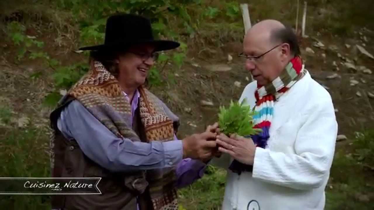 CUISINEZ-MOI ! Ache montagne par Marc Veyrat