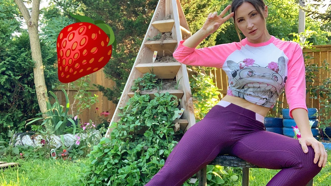 My Internet-Famous Strawberry Tower, DIY Veritcal Triangle Planter