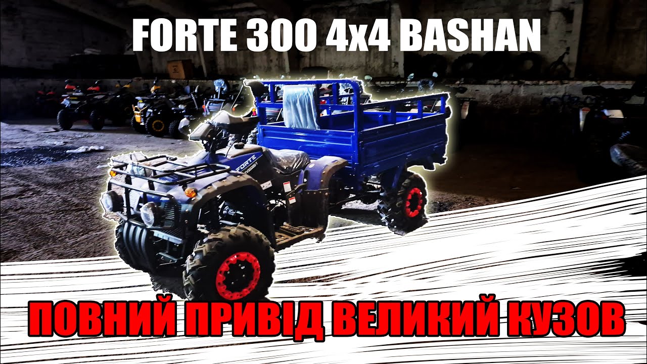 Вантажний квадроцикл Башан Forte 300 повний привід Груз до 650 кг великий кузов від МОТТОР
