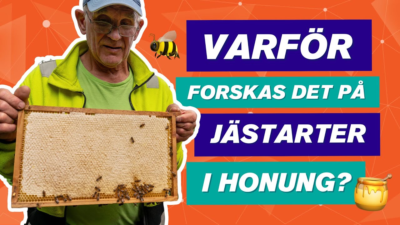 Mer &auml;n bara s&ouml;tma: Hur honung bidrar till banbrytande forskning