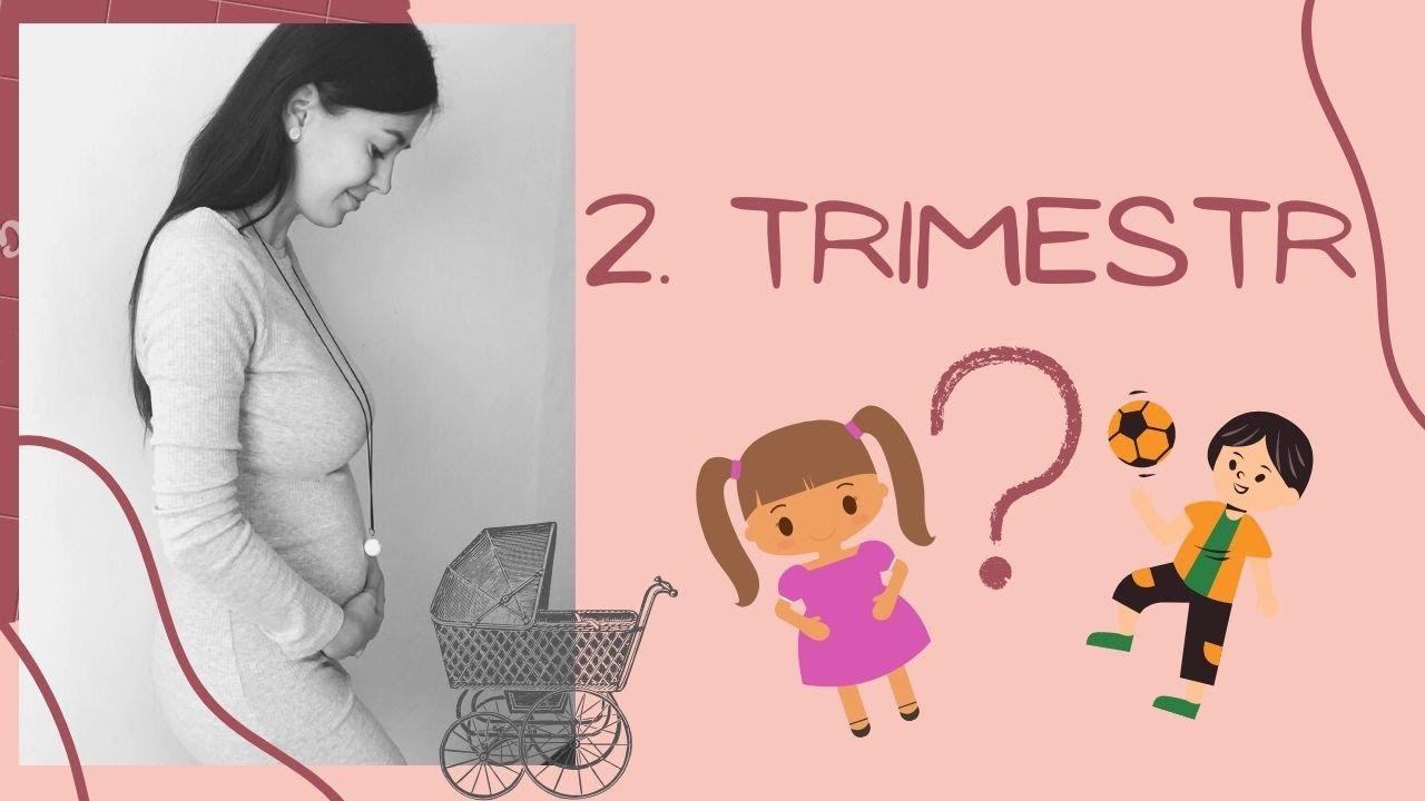 MOJE TĚHOTENSTVÍ | 2. TRIMESTR | Holka nebo kluk?👶🏻