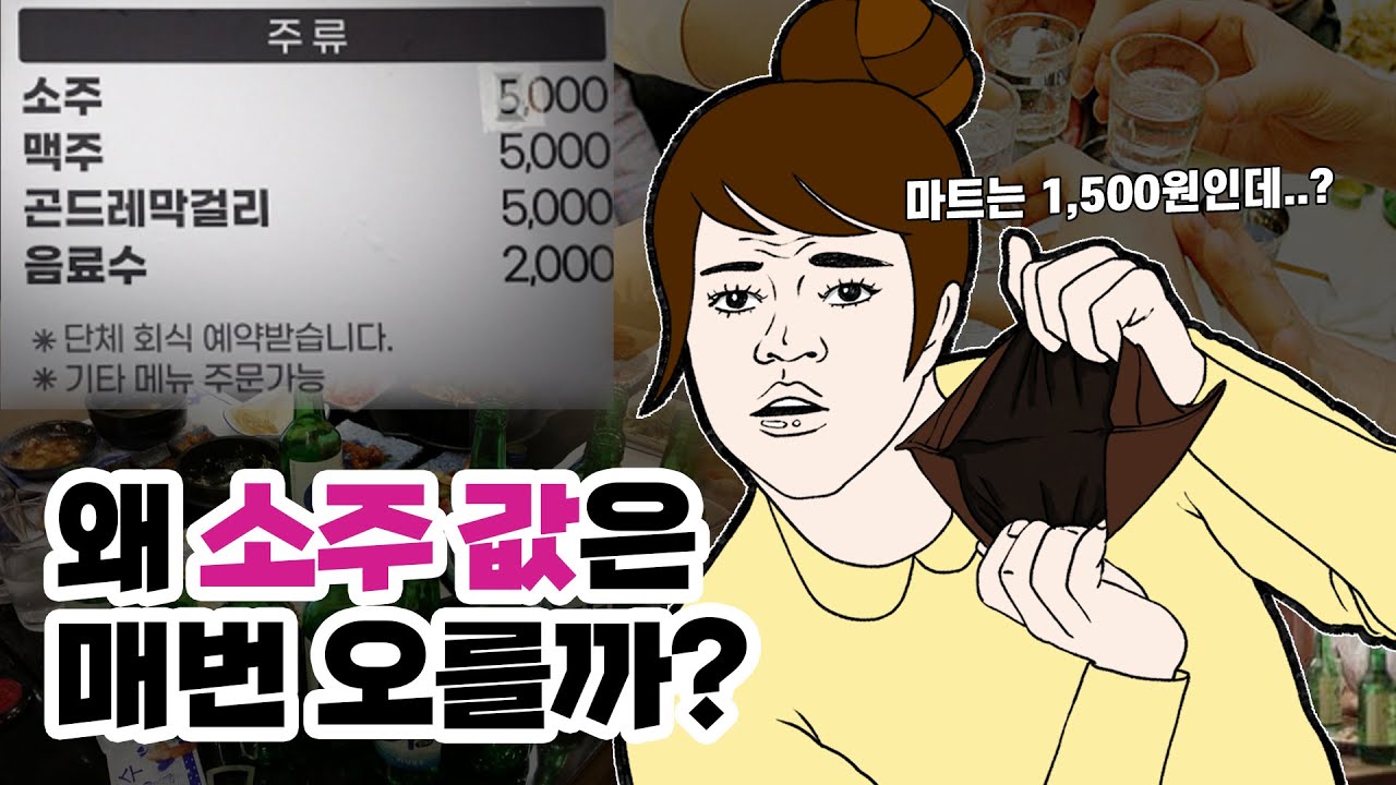 소주 가격 왜 이렇게 차이날까?ㅣ식당 소주는 왜 5,000원일까ㅣ안물살궁