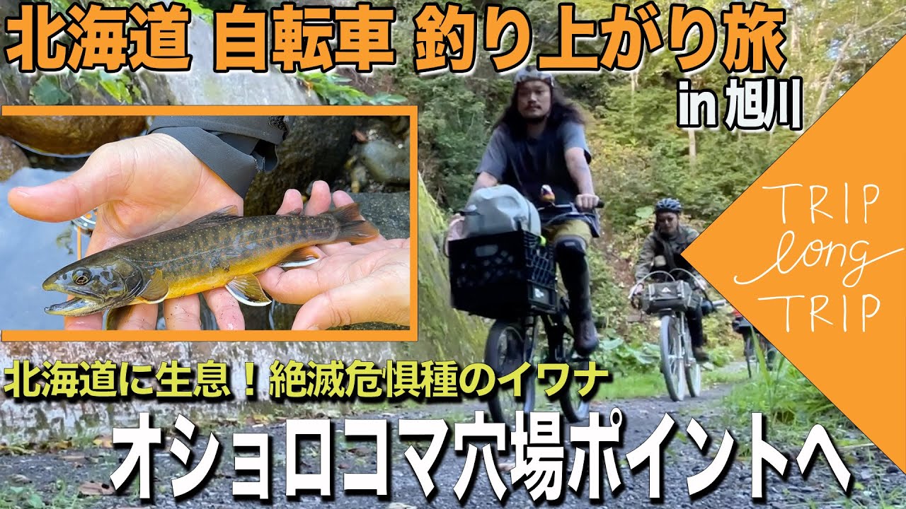 Vol.4北海道編 絶滅危惧種のイワナ オショロコマ穴場ポイントへ