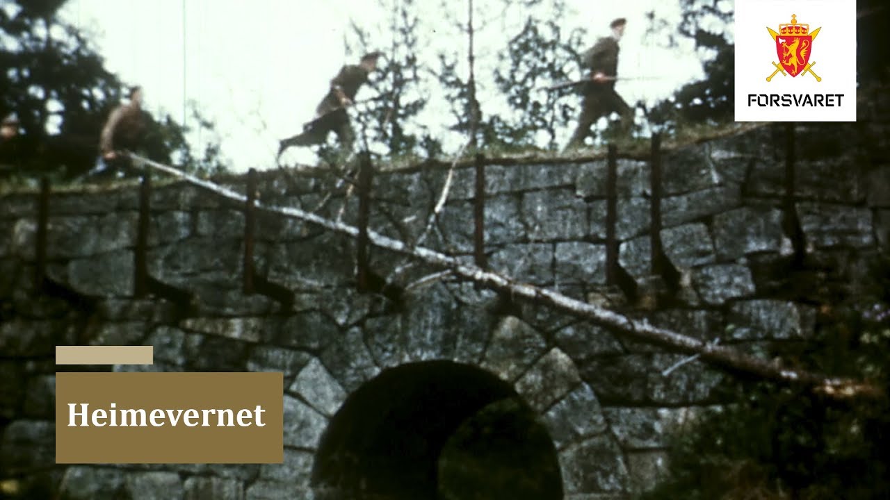 Heimevernet